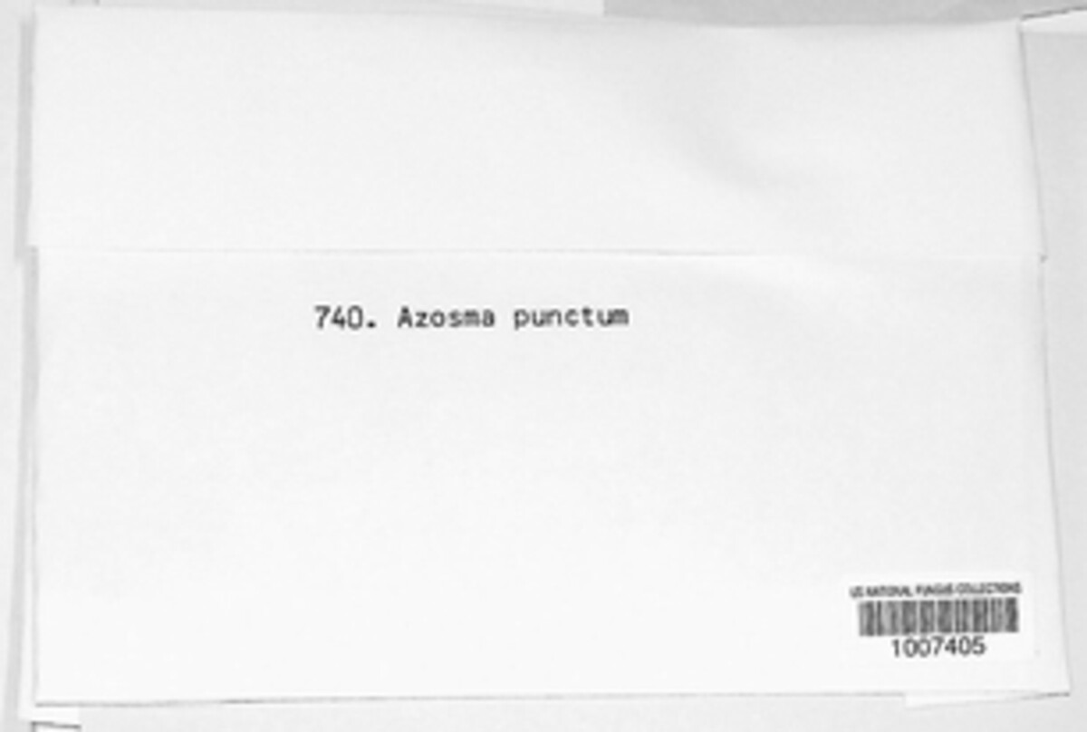 Passalora puncta image